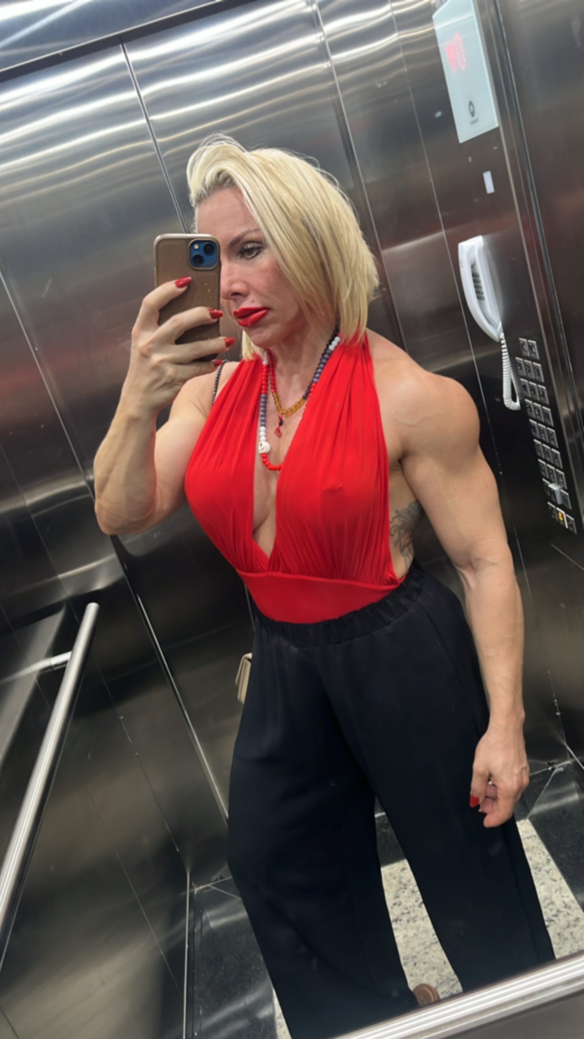 girlswithmuscle Phoenix Arizona — female bodybuilder sessions FBB Vixens